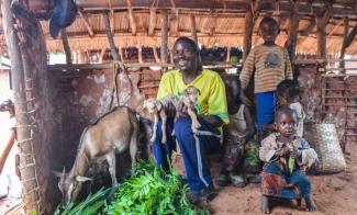 GOATS ARE PROVIDING FAMILIES IN DEMOCRATIC REPUBLIC OF THE CONGO WITH OPPORTUNITIES FOR ECONOMIC GROWTH AND SPIRITUAL GROWTH THROUGH GOD'S WORD.