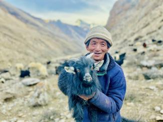 [Yesterday 11:40] Jonah Dykes Goats are helping people in Nepal climb out of generational debt.