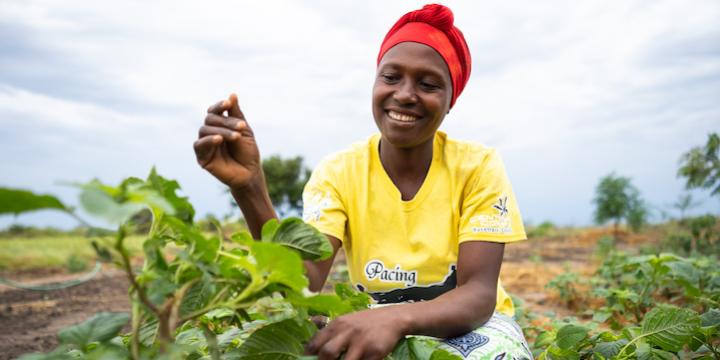 Woman harvesting crop