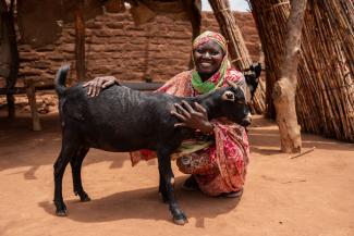 THE GOATS THAT SAMARITAN’S PURSE PROVIDED TO ISMAIL HAVE ALSO HELPED NEIGHBORING FAMILIES FLOURISH. HIS MALE GOAT HELPED NEARBY NEIGHBOR SARAH’S GOATS MULTIPLY AS WELL.