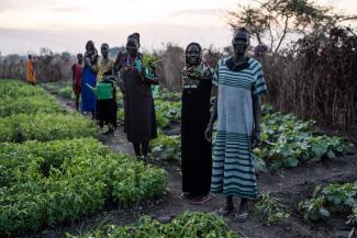 Women in Mayom County and throughout South Sudan are learning how to grow their own food through resiliency training provided by Samaritan’s Purse.