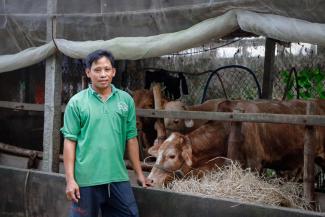 For years to come, these cattle will provide Anh and his community with milk, meat, and income as the herd multiplies.